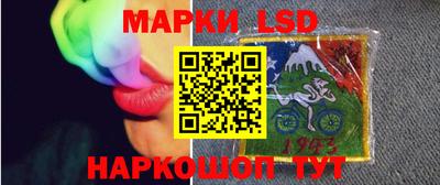шишки Обь