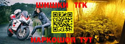 шишки Обь