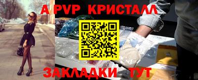 шишки Обь