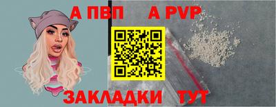 шишки Обь