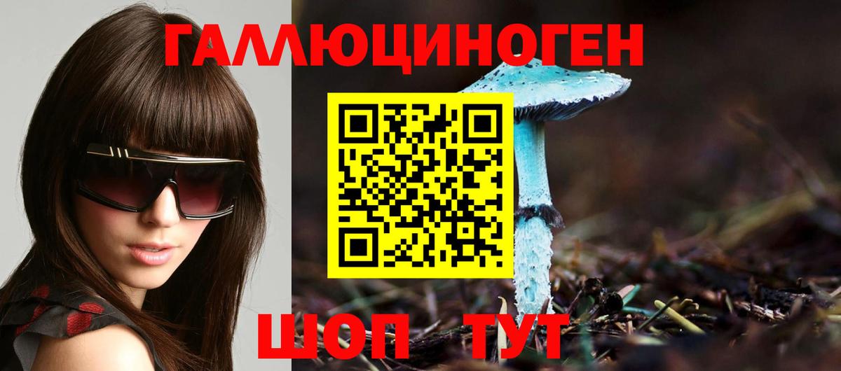 Галлюциногенные грибы Magic Shrooms  Галлюциногенные грибы Cubensis  Вход с VPN  Алексеевка 
